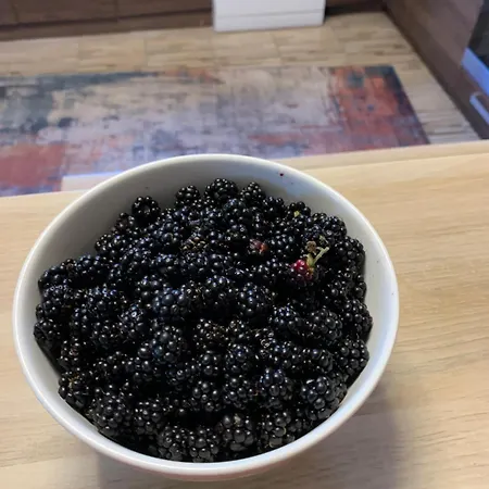 别墅 Emina Koselji